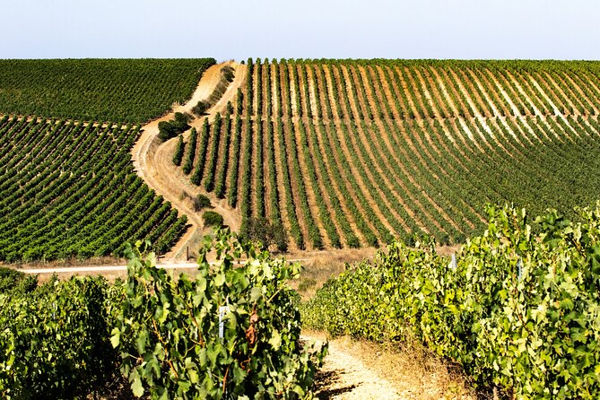 Private Sardinian Wine Experience - Participant Details