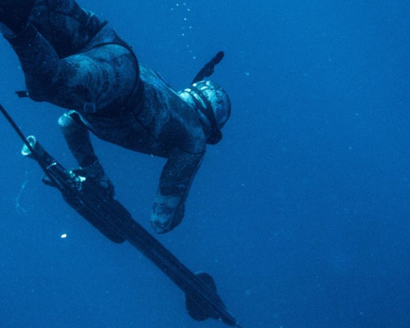 Private Sayulita Spearfishing: Inshore Adventure All Levels - Key Points