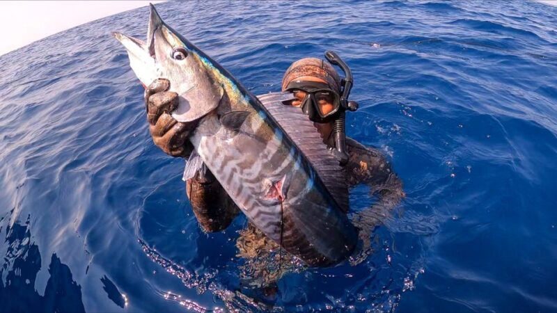 Private Sayulita Spearfishing: Inshore Adventure All Levels - Catch Diversity