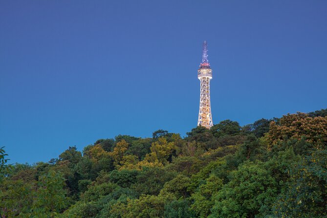 Private Scenic Evening Walking Tour in Prague - Guide Responsiveness
