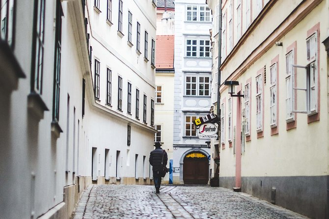 Private Scenic Transfer From Salzburg to Vienna With 4h of Sightseeing - Booking and Availability