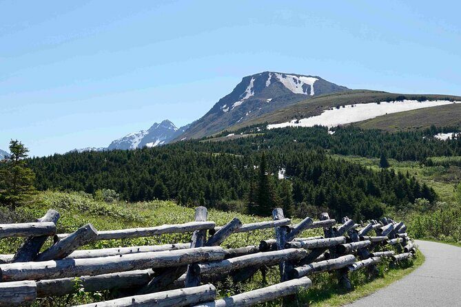 Private Scenic Turnagain Arm Glacier Tour from Anchorage - What Makes This Tour Stand Out?