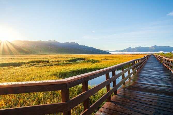 Private Scenic Turnagain Arm Glacier Tour from Anchorage - FAQ