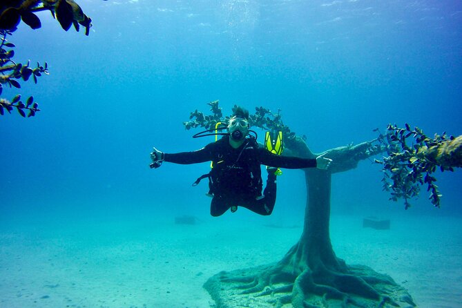 Private Scuba Dive / Try Dive at Musan Underwater Park - Pricing and Inclusions