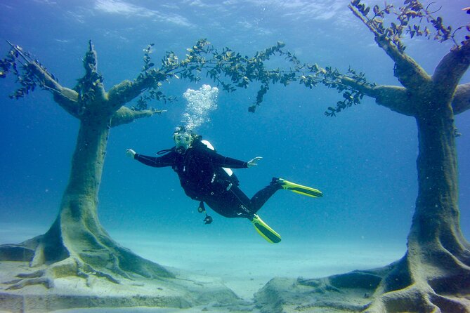 Private Scuba Dive / Try Dive at Musan Underwater Park - Scheduling and Cancellation Policy