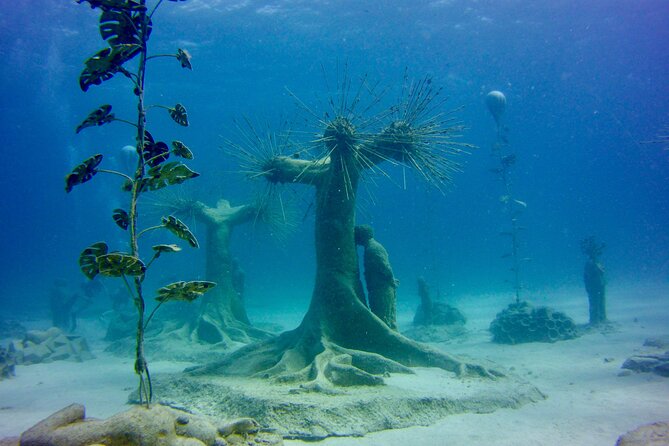Private Scuba Dive / Try Dive at Musan Underwater Park - Traveler Reviews
