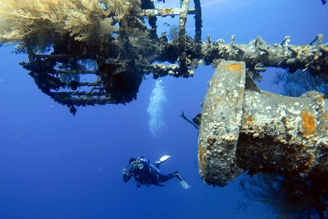 Private Scuba Diving Adventure in the Red Sea of Aqaba - Meeting Point and Pickup