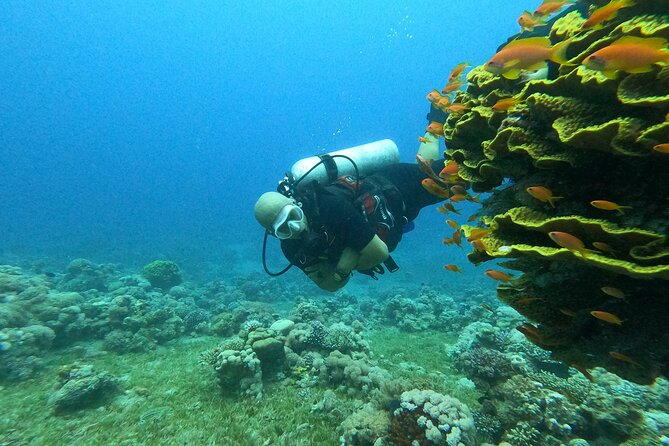 Private Scuba Diving Adventure in the Red Sea of Aqaba - Cancellation Policy