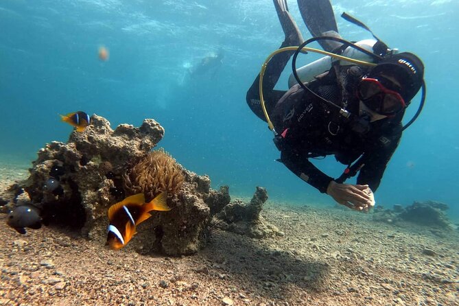 Private Scuba Diving Adventure in the Red Sea of Aqaba - Additional Information