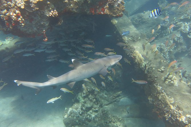 Private Scuba Diving in Kaanapali - Age and Fitness Requirements