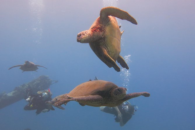 Private Scuba Diving in Kaanapali - Cancellation and Refund Policy