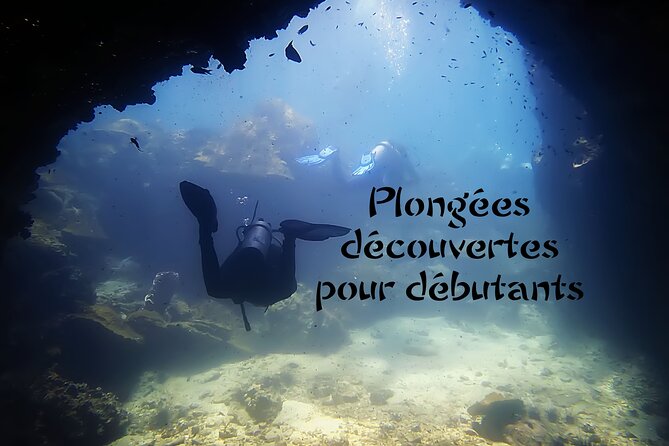 Private Scuba Diving Initiation With Licensed Guide - Diving Exercises in Pool and Sea
