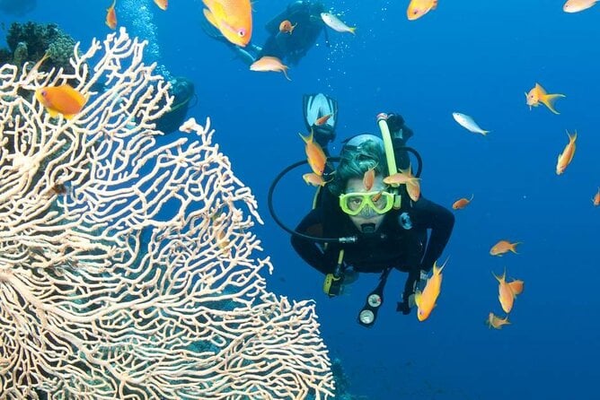 Private Scuba Diving Initiation With Licensed Guide - Transportation and Accessibility