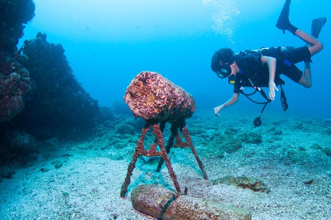 Private Scuba Diving Puerto Vallarta Undersea - Traveler Considerations
