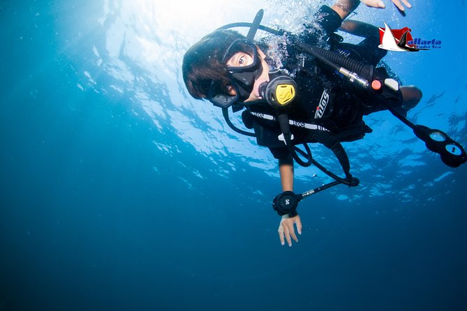 Private Scuba Diving Puerto Vallarta Undersea - Exploring the Underwater Wonders