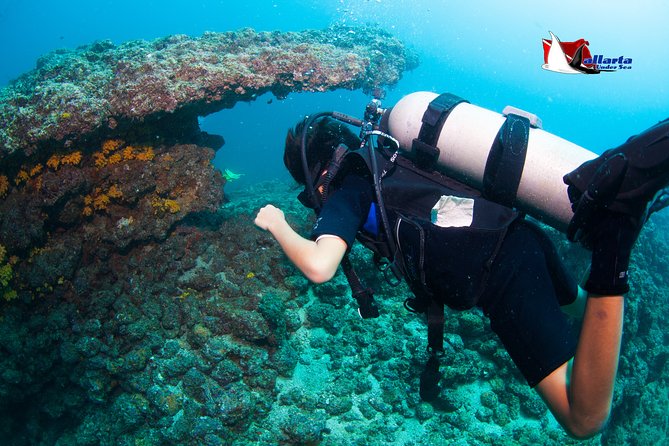 Private Scuba Diving Puerto Vallarta Undersea - Guides Expertise and Professionalism