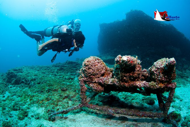 Private Scuba Diving Puerto Vallarta Undersea - Unforgettable Diving Encounters