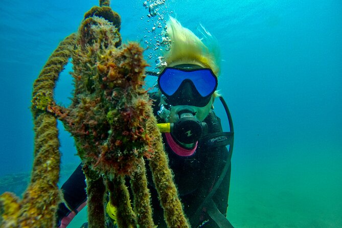 Private Scuba Diving Tour With Transportation and Guide - Participation Guidelines
