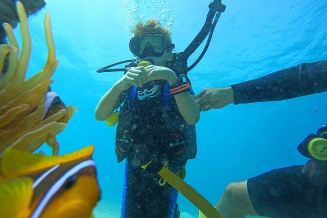 Private Scuba Diving Tour With Transportation and Guide - Booking Information