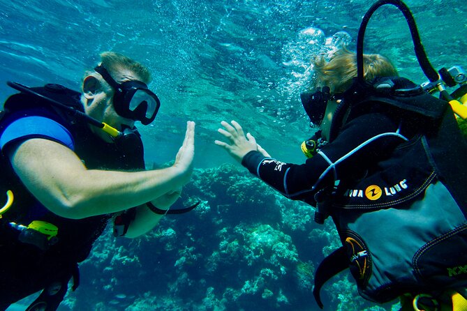 Private Scuba Diving Tour With Transportation and Guide - Location and Reviews