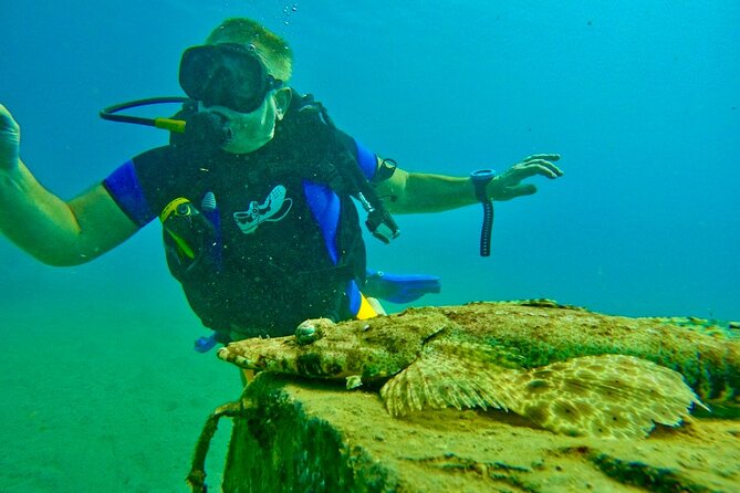 Private Scuba Diving Tour With Transportation and Guide - Equipment and Services