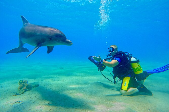 Private Scuba Diving Tour With Transportation and Guide - Experience Highlights