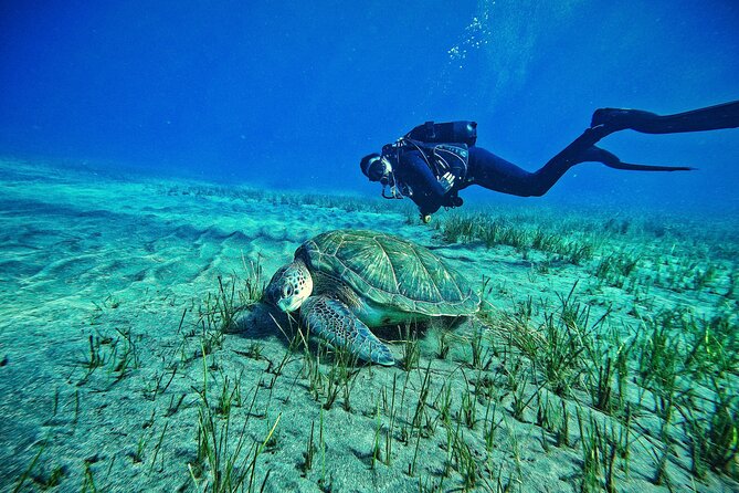 Private Scubadiving With Professional Instructor, Photos Included - Key Points