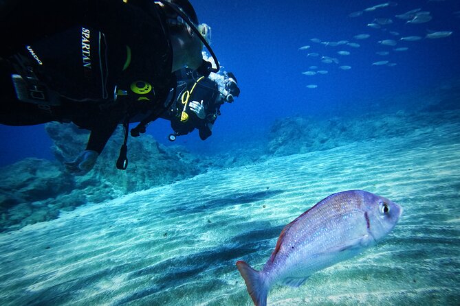 Private Scubadiving With Professional Instructor, Photos Included - Meeting Point and Directions