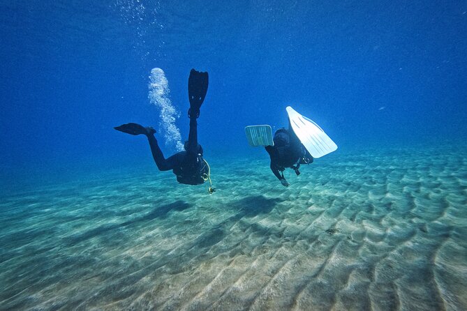 Private Scubadiving With Professional Instructor, Photos Included - Reviews and Badge of Excellence