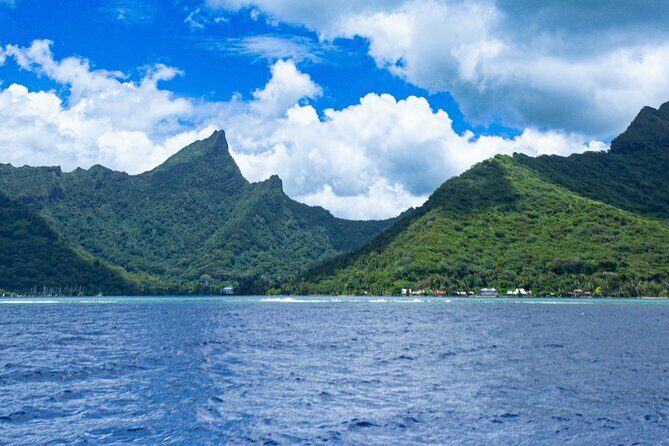 Private Sea Adventure in Moorea: A Day of Fishing Like a Local - An Authentic Day at Sea in Moorea