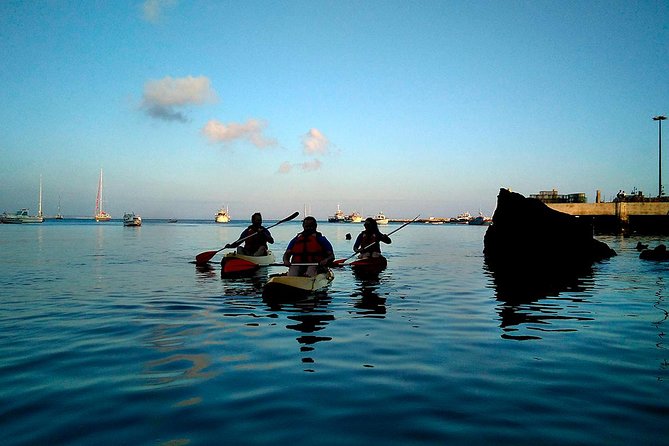 Private Sea Kayaking in Cascais Bay, Lisbon: Glide & Explore! - Personalized Guidance and Support