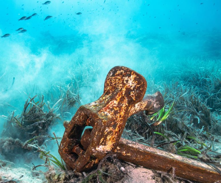 Private Sea-Nic, Sip N' Snorkel on a Semi-Submersive Craft - Booking and Cancellation