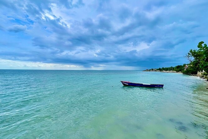 Private Seafood Tour and Floyds Pelican Bar or Black River Safari - Private Transportation and Personalized Experience