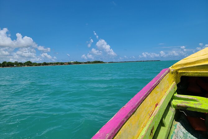 Private Seafood Tour and Floyds Pelican Bar or Black River Safari - Savoring the Local Flavors of Jamaica