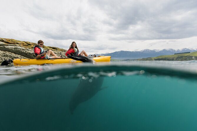 Private Seal Kayaking and Wildlife Tour in Kaikoura - Who Will Love This Tour?