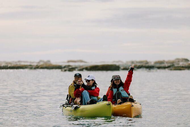 Private Seal Kayaking and Wildlife Tour in Kaikoura - Final Thoughts: Is This Tour Worth It?