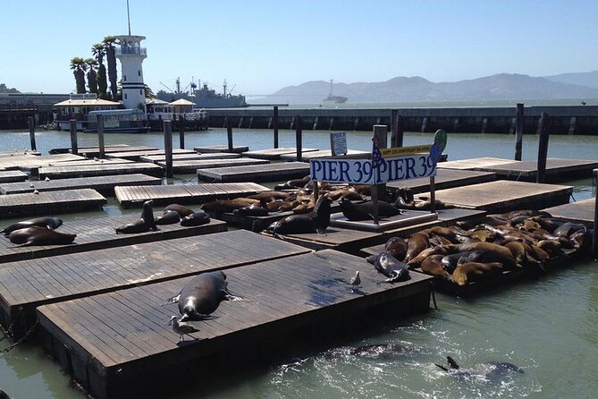 Private Sedan From San Francisco Pier to San Francisco City - Key Points