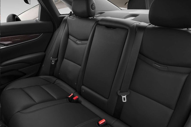 Private Sedan New York City Airport Departure Transfer - Accessibility and Special Needs