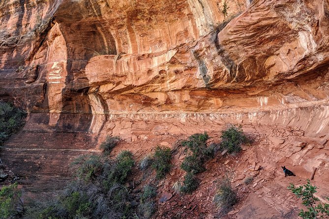 Private Sedona Scenic Full-Day in Luxury Car Tour - Reviews and Ratings