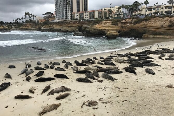 Private Segway Experience Through La Jolla - Health and Safety
