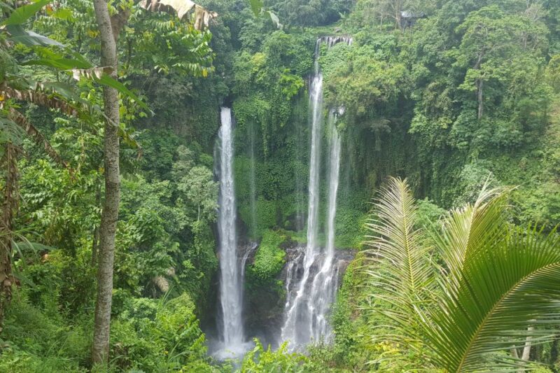 Private Sekumpul Waterfall Hiking Tour - Customer Reviews