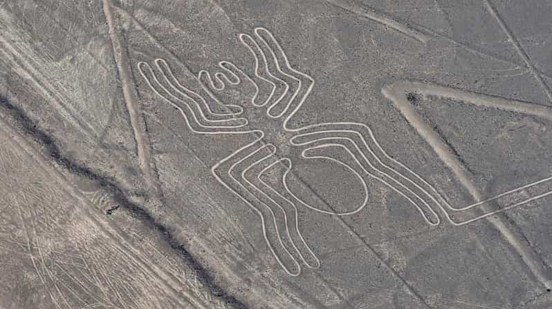 Private Service From Lima | Flight Over the Nazca Lines - Experience and Itinerary