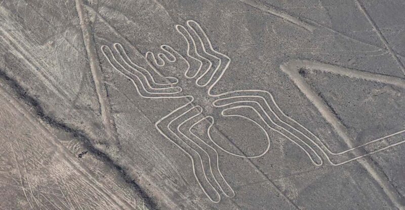 Private Service From Lima | Flight Over the Nazca Lines - Transportation and Pickup