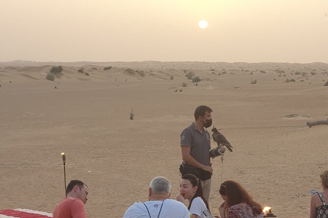 Private Setup, Falcon Photo , Dinner, Sunset in Middle of Desert - Reviews and Ratings