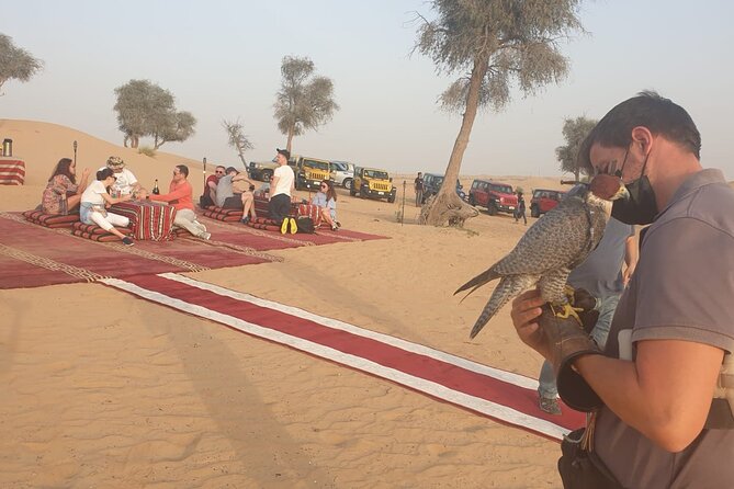 Private Setup, Falcon Photo , Dinner, Sunset in Middle of Desert - Additional Information