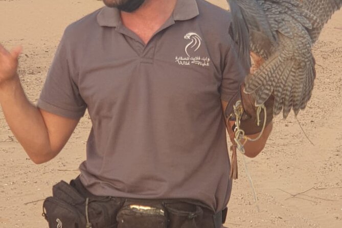 Private Setup, Falcon Photo , Dinner, Sunset in Middle of Desert - Falcon Photo Opportunity