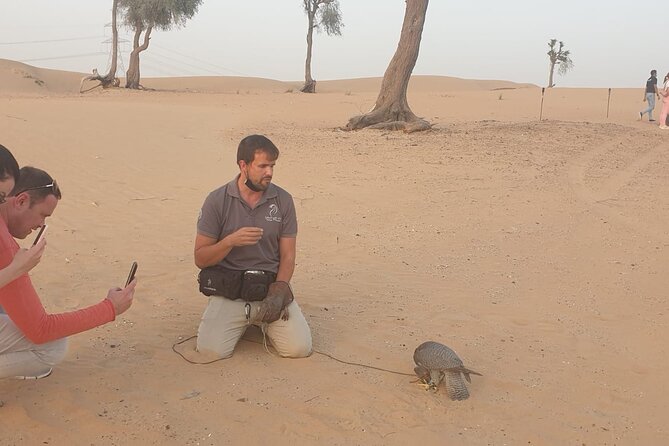 Private Setup, Falcon Photo , Dinner, Sunset in Middle of Desert - Dinner During Sunset
