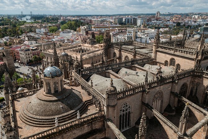 Private Seville Day Trip From Malaga Including Alcazar - Accessibility and Amenities