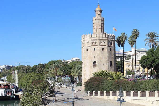 Private Seville Day Trip From Malaga Including Alcazar - Pickup and Drop-off Locations
