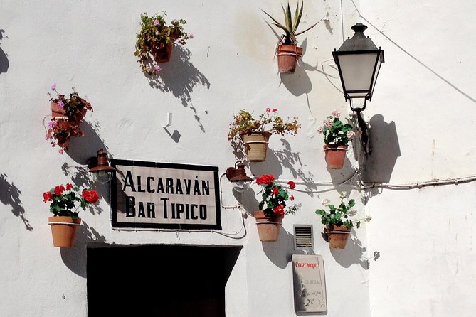 Private Seville Transfer to Malaga Including Visit to Ronda - Inclusions and Exclusions